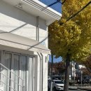 사림동131 | 창원 사림동 제철 재료와 동물성 100% 생크림으로...예쁜 케이크 맛집 [도노아] 내돈내산 재재재방문 후기