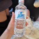 나트랑 산티아고투어 내돈내산 후기, 판랑사막·양떼목장·포나가르사원 하루 코스 적극추천
