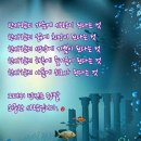 월호 이미지