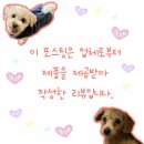 명품샤브샤브 | 평택 비전동 샤브연리지 점심특선 14900원 가성비 샤브샤브 후기