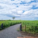 귤림하우스 이미지