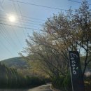 에버리오골프클럽 이미지