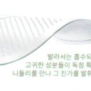 엔도플러스 이미지