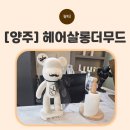[양주] 양주미용실 두피케어 받고 놀란 헤어살롱더무드 고읍본점 후기