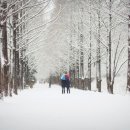 겨울의 낭만을 만끽할 수 있는 전남 설경 명소 이미지