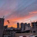 필라테스물든 - 15190 | 필라테스물든