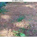 백억농장 이미지