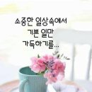 😀😃🙃@@@ ＜＜ 사브라 ＞＞ 이미지