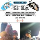 1월 3일 뽈락&열기 조황~~ 이미지