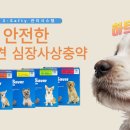 봄날약국 이미지