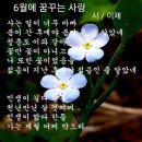 1646 - 6월에 꿈꾸는 사랑 / 이채 이미지