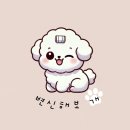 변신해보개 이미지