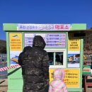 호수유치원 | 포천 산정호수 썰매축제 유치원 아이들과 간 후기 (꿀팁)