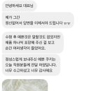 고타타스 이미지