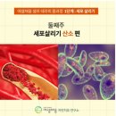 메디팜현상약국 | [송약사의 에셀채움 셀프테라 피]몸과정 2주차 포살리기 산 소편 후기