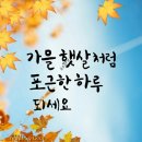 리얼안심탕수육&리얼하노이 이미지
