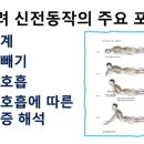 허리통증 해소- 엎드려하는 신전동작 이미지