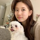 호수헤어라인 이미지
