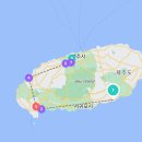 여행(3) 산방산 유채꽃, 어린왕자감귤밭, 소문난우리정식뷔페, 협재해수욕장, 노형슈퍼마켙, 돈백꽃...