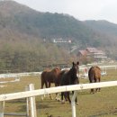 연천승마공원 이미지