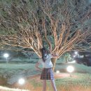 보니하니 이미지