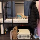 깨끗한세탁나라 | 부다페스트 아다지오바실리카 가성비 호스텔 숙소후기 Adagio Basilica