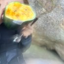 화개초등학교왕성분교장 이미지