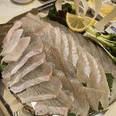 바다요정 | 한티역 횟집 , 도곡동 맛집으로 추천 바다생협 대광어 강남본점 후기