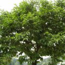 화평농장 이미지