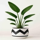 모던레시피 이미지