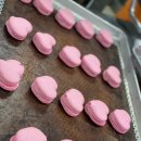 머랭보이즈 이미지