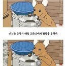 H2916 이미지