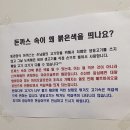 동경양식 이미지