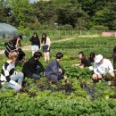 공릉2동경로당 이미지