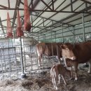 화수목 농원 이미지