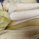 엄마네농장 이미지