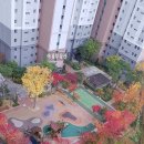 기흥역더샵공인중개사사무소 | [아-128] 풀장있는 '기흥역 더샵'@(거래완료)