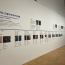 피카소도예 이미지