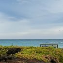 평대연가 이미지