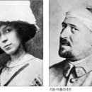 미라보 이미지
