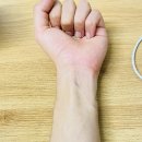 다자연인천 | 러쉬 티트리워터 더운날에 필수템 <남자분들 꼭 쓰세요>