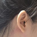 장미꽃과나이팅게일외과의원 이미지