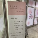 모닝버드 이미지