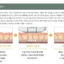 고정아의원 이미지