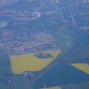 요나고래 이미지