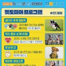 무브펫 이미지