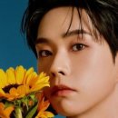 아이돌루시 이미지