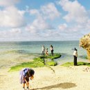 Reminiscence 이미지