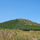 [제주도여행] 제주도에서 꼭 가봐야할 곳 - 억새꽃 추천할만한 곳 따라비오름 이미지