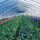 충주환경 이미지